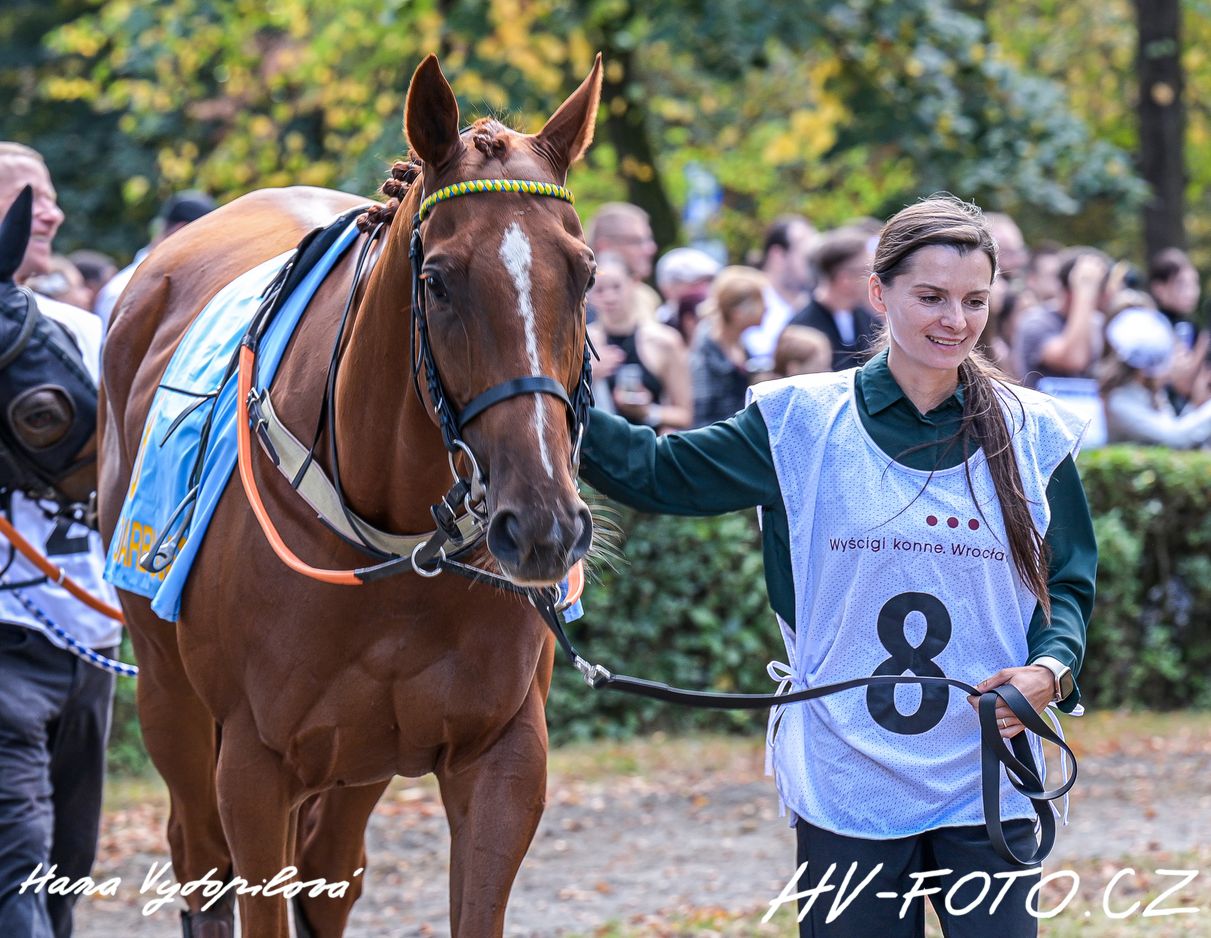 DSC_7446 kopie.jpg